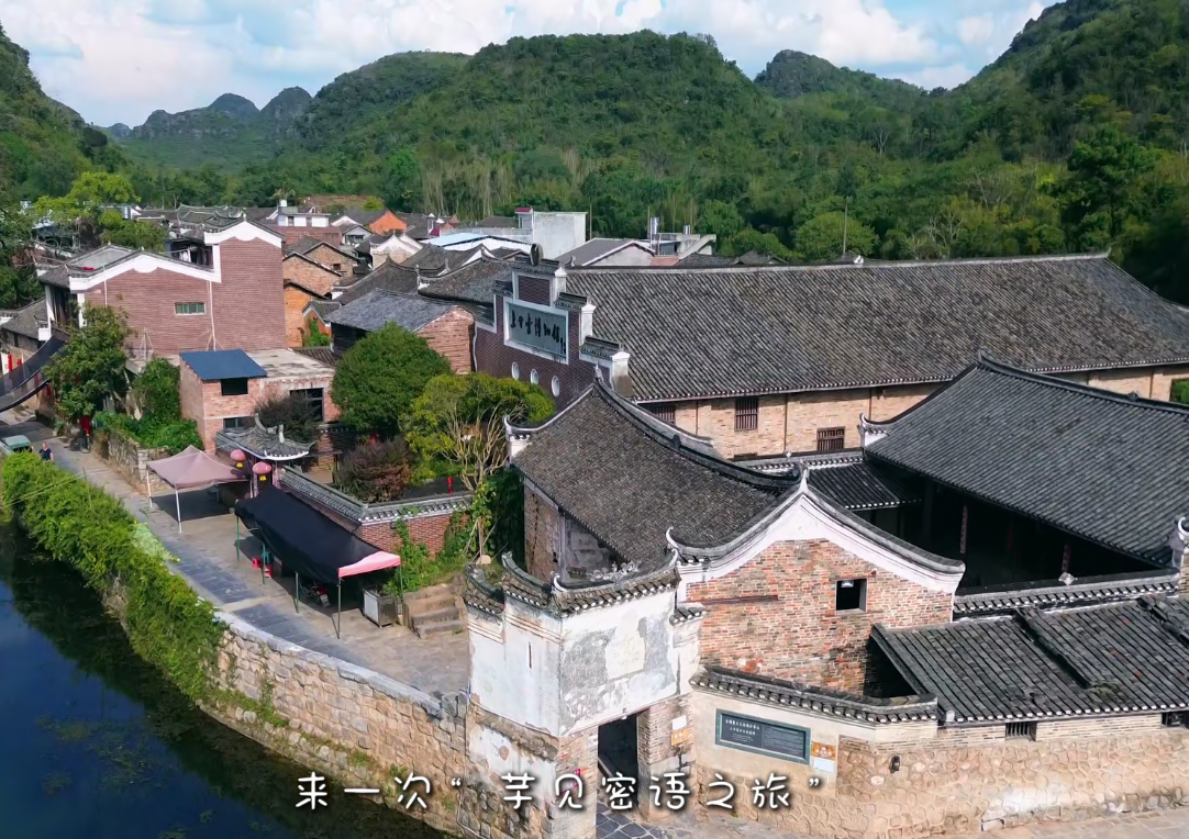 江永香芋—芋见密语之旅农文旅推介片