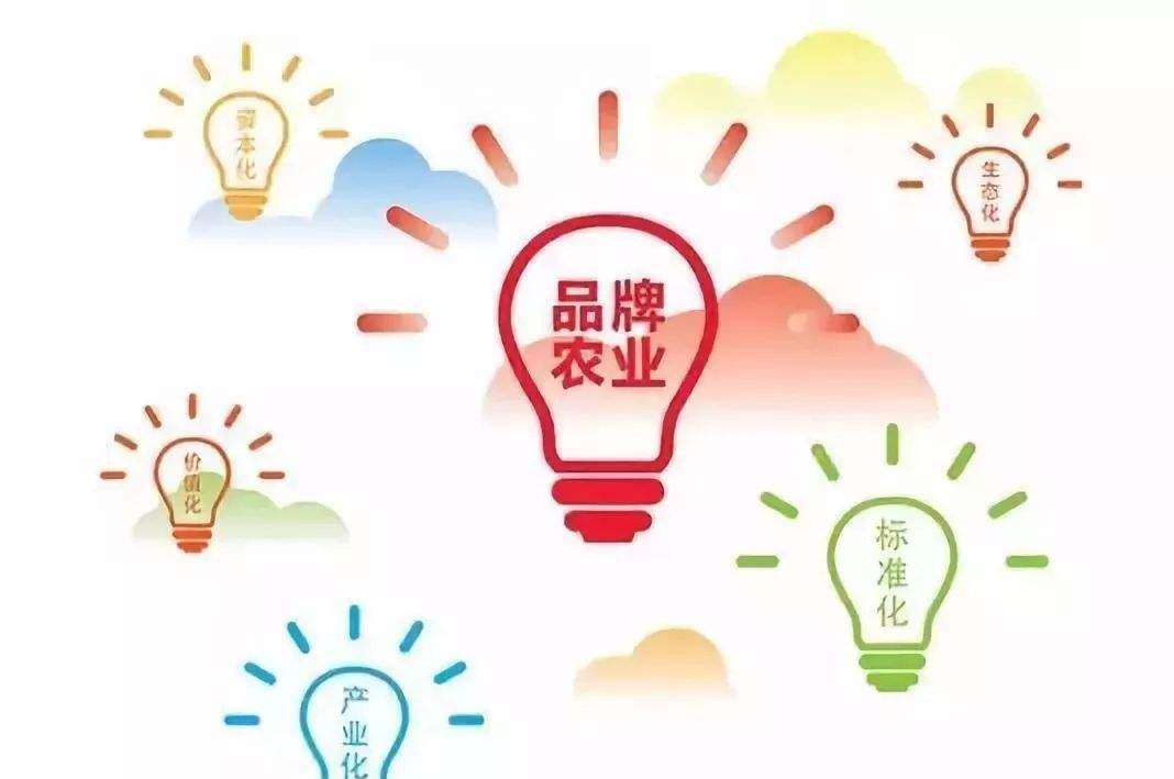 农业农村部：开展2024年农业品牌精品培育工作
